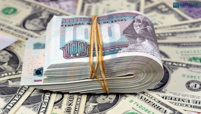 سعر الدولار اليوم في مصر الجمعة 21/08/2026