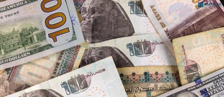 Dollar price in Egypt today Saturday 08/08/2026