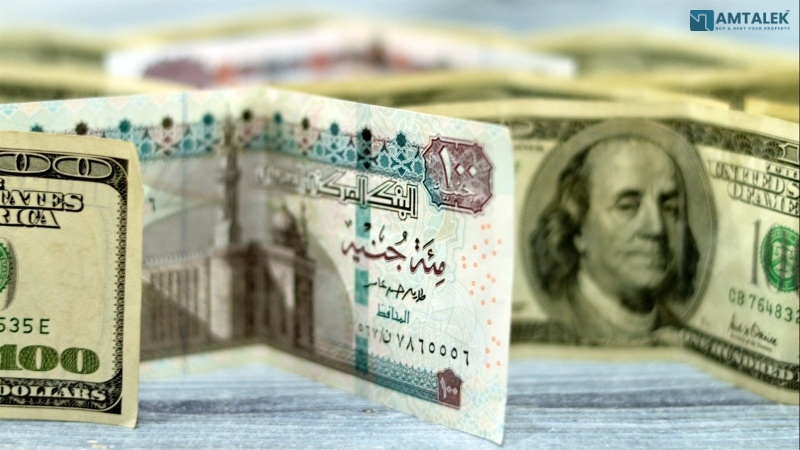سعر الدولار اليوم في مصر السبت 15/08/2026