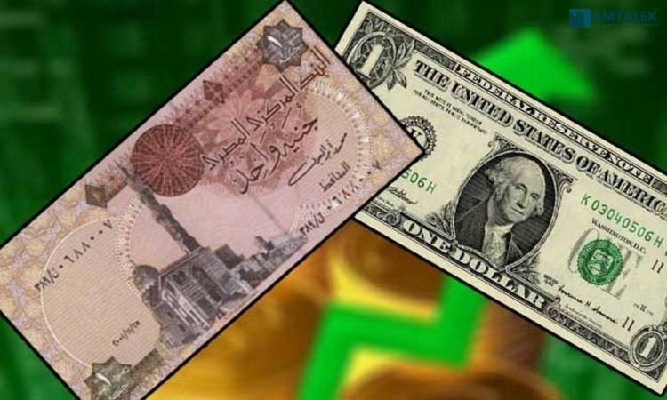 Dollar price in Egypt Sunday 15/03/2026