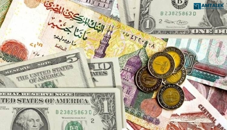 متوسط أسعار السوق بالجنيه المصرى 06 سبتمبر 2026