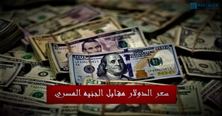 Dollar price in Egypt today Monday 07/09/2026