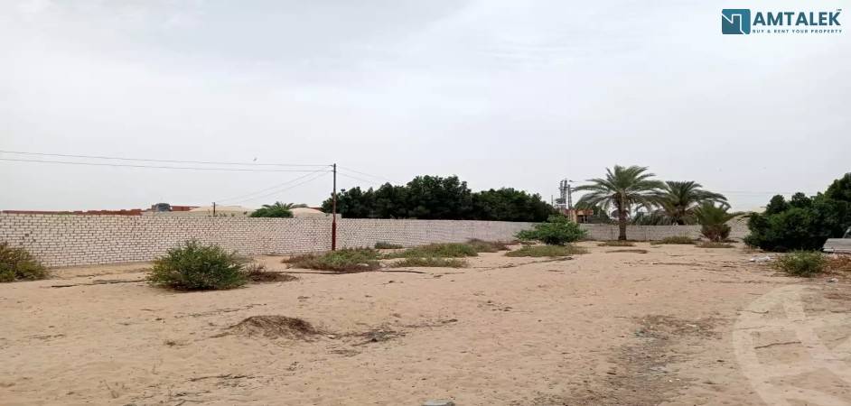 Carat for sale, prime location on a main road at kilometer 11, Port Said Road