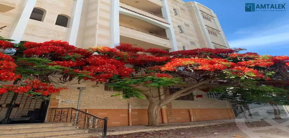 Building for sale, 5 floors, on Al-Bahr Street, in front of the Swiss Inn Hotel