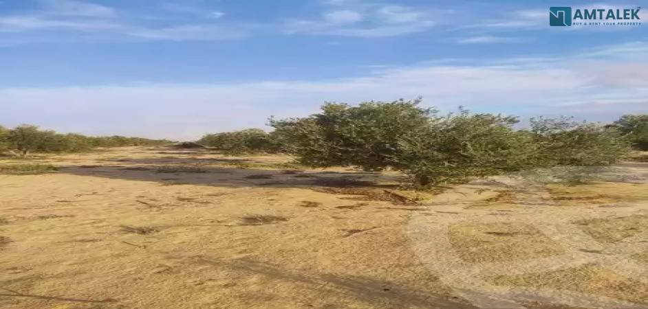 31 acres empty land for sale