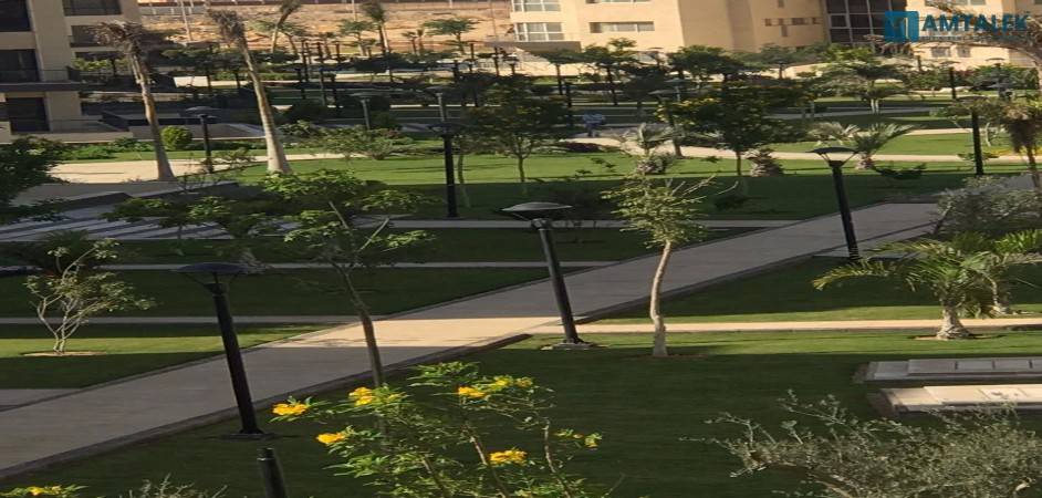 Appartment For Sale In Madinaty Prime Location