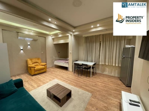 Super Lux Studio for Rent Furnished in Zamalek