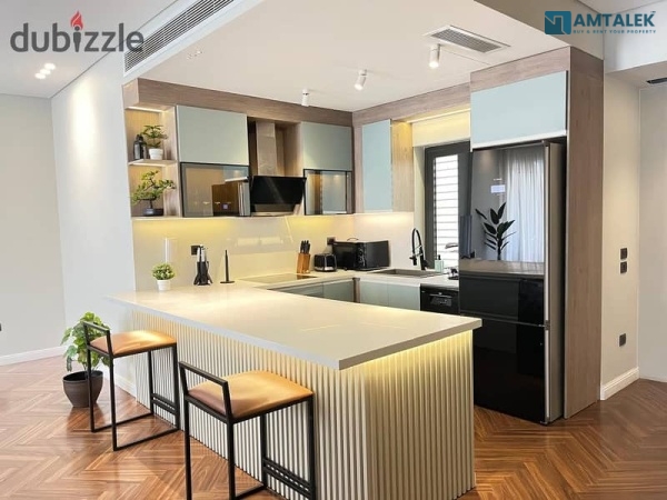 Luxury Furnished Apartment in Lake View Residence