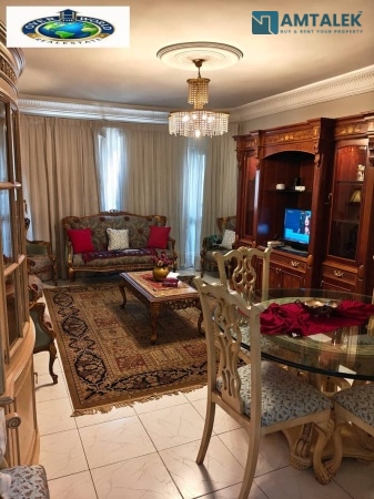 Furnished apartment for rent Corniche El Maadi Torra Al-Ikha Towers Police Nile view side near the metro station consists of two bedrooms and reception and bathroom and kitchen sixth floor 2 elevators