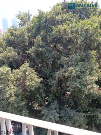 New law apartment 170m for rent in Zamalek