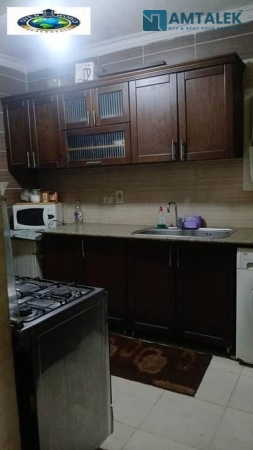 Furnished apartment for rent Maadi Street 71